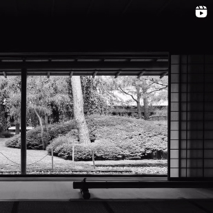 ar'teryx ZIN'｜田畑雅行｜ar'teryx｜建築設計室 アーキテリクス｜名古屋 建築家 設計事務所