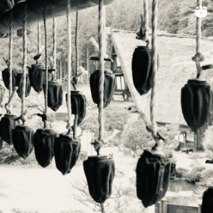 ar'teryx ZIN'｜田畑雅行｜ar'teryx｜建築設計室 アーキテリクス｜名古屋 建築家 設計事務所