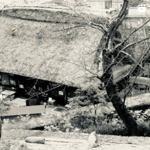 ar'teryx ZIN'｜田畑雅行｜ar'teryx｜建築設計室 アーキテリクス｜名古屋 建築家 設計事務所